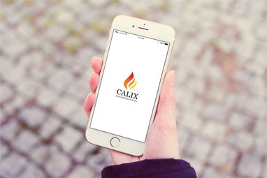Calix Website Design by WDSOFT