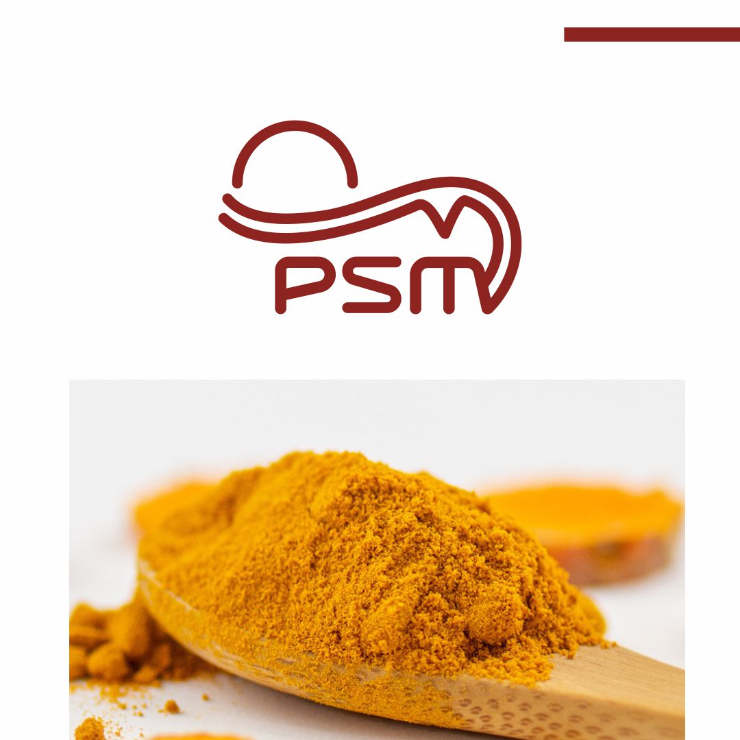 PSM Logo Design by WDSOFT
