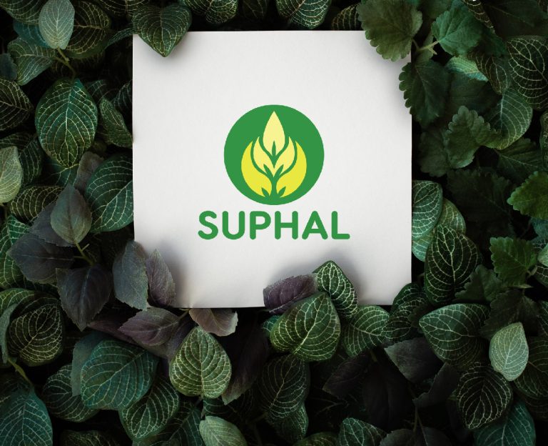 agriculture company branding by wdsoft