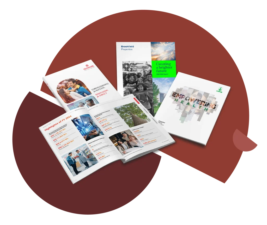 WDSOFT Annual Report Design Agency in India